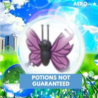 Purple Butterfly