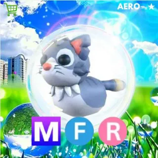 MFR Alley Cat