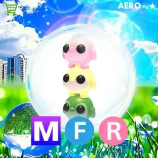 MFR Dango