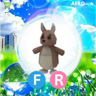 4x FR KANGAROO