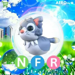 NFR Alley Cat