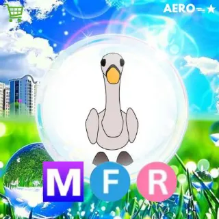 MFR Swan