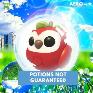 Apple Owl