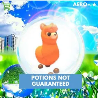 Alpaca