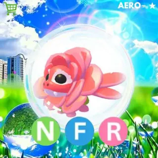 NFR Rose Dragon