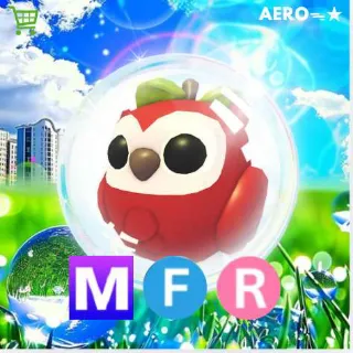 MFR Apple Owl