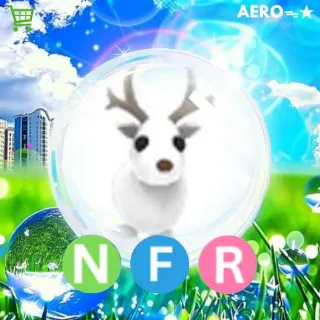 NFR Arctic Reindeer