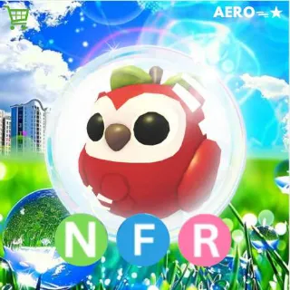 NFR Apple Owl