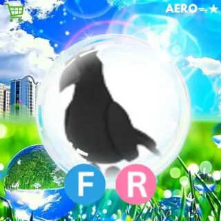 FR Crow