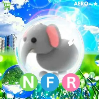 NFR Elephant
