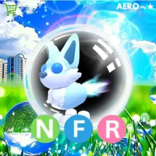NFR Aurora Fox