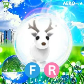 FR Arctic Reindeer