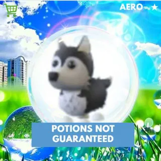 Husky