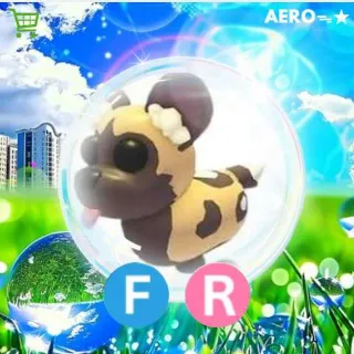 FR African Wild Dog