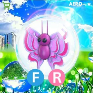FR Orchid Butterfly
