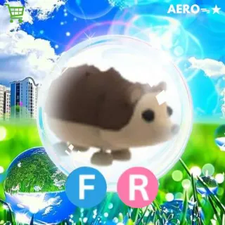 FR Hedgehog