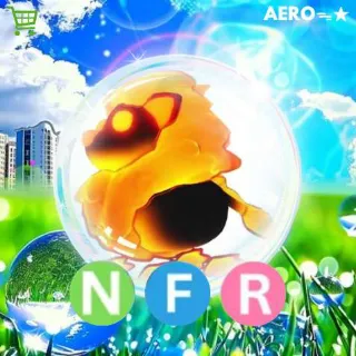 NFR Blazing Lion