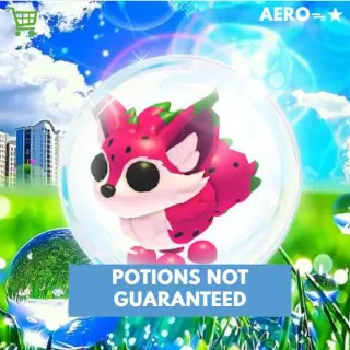 Dragonfruit Fox
