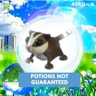 Sugar Glider