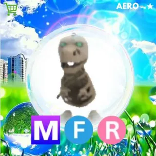 MFR Skele-Rex
