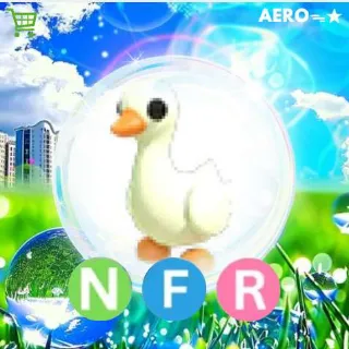 NFR Goose