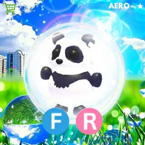 挂牌照片