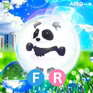 FR Giant Panda