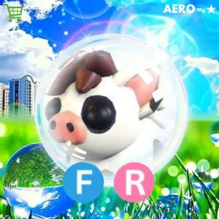 FR Minipig
