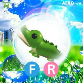 FR Crocodile
