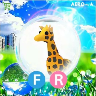 FR Giraffe