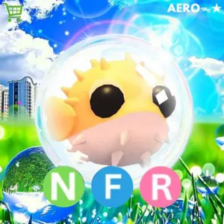 NFR Puffer Fish