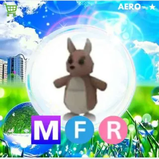MFR Kangaroo