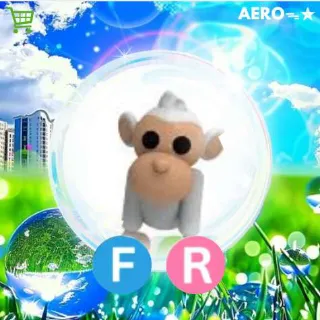 FR Albino Monkey