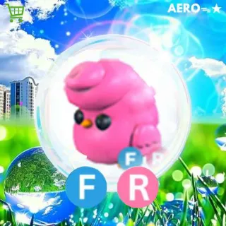 FR Candyfloss Chick