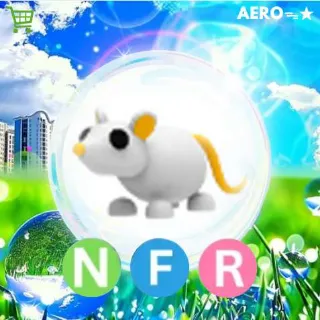NFR Golden Rat
