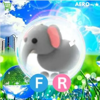 FR Elephant