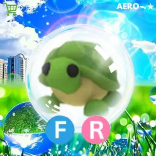 FR Turtle