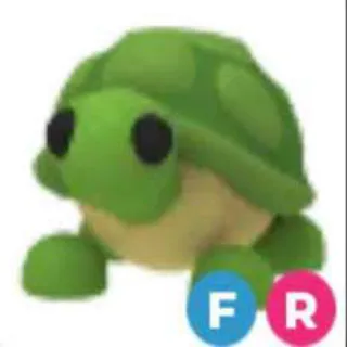 FR Turtle