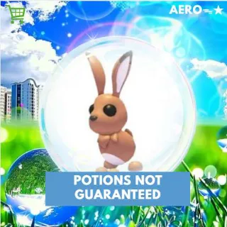 Hare