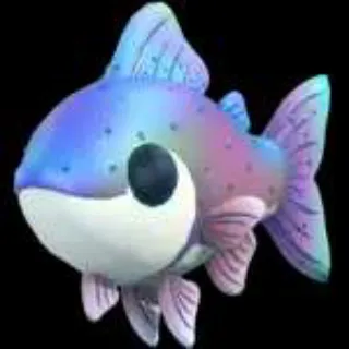 16x Rainbow Trout