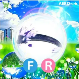 FR Midnight Dragon