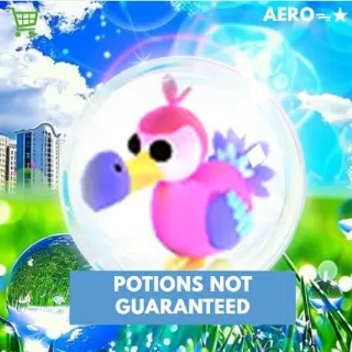 Dodo