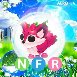 NFR Dragonfruit Fox