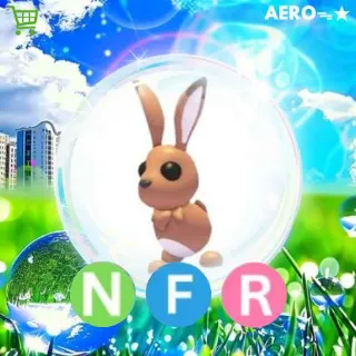 NFR Hare