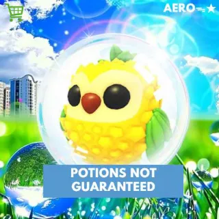 Pineapple Owl