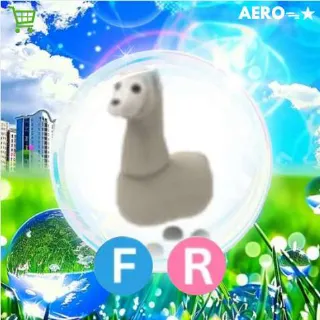 FR Llama