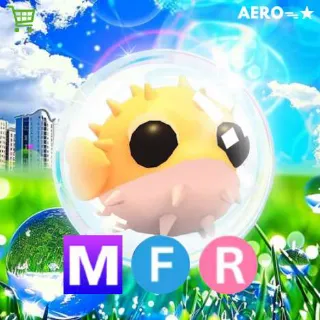 MFR Puffer Fish