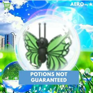Green Butterfly