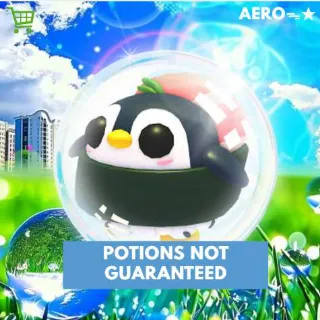 Sushi Penguin