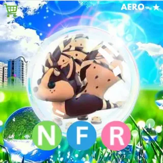 NFR CCBD